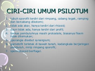 Detail Gambar Paku Psilotum Nomer 17