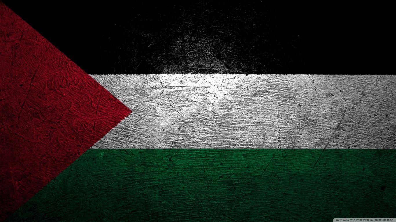 Detail Gambar Palestina Bendera Nomer 19
