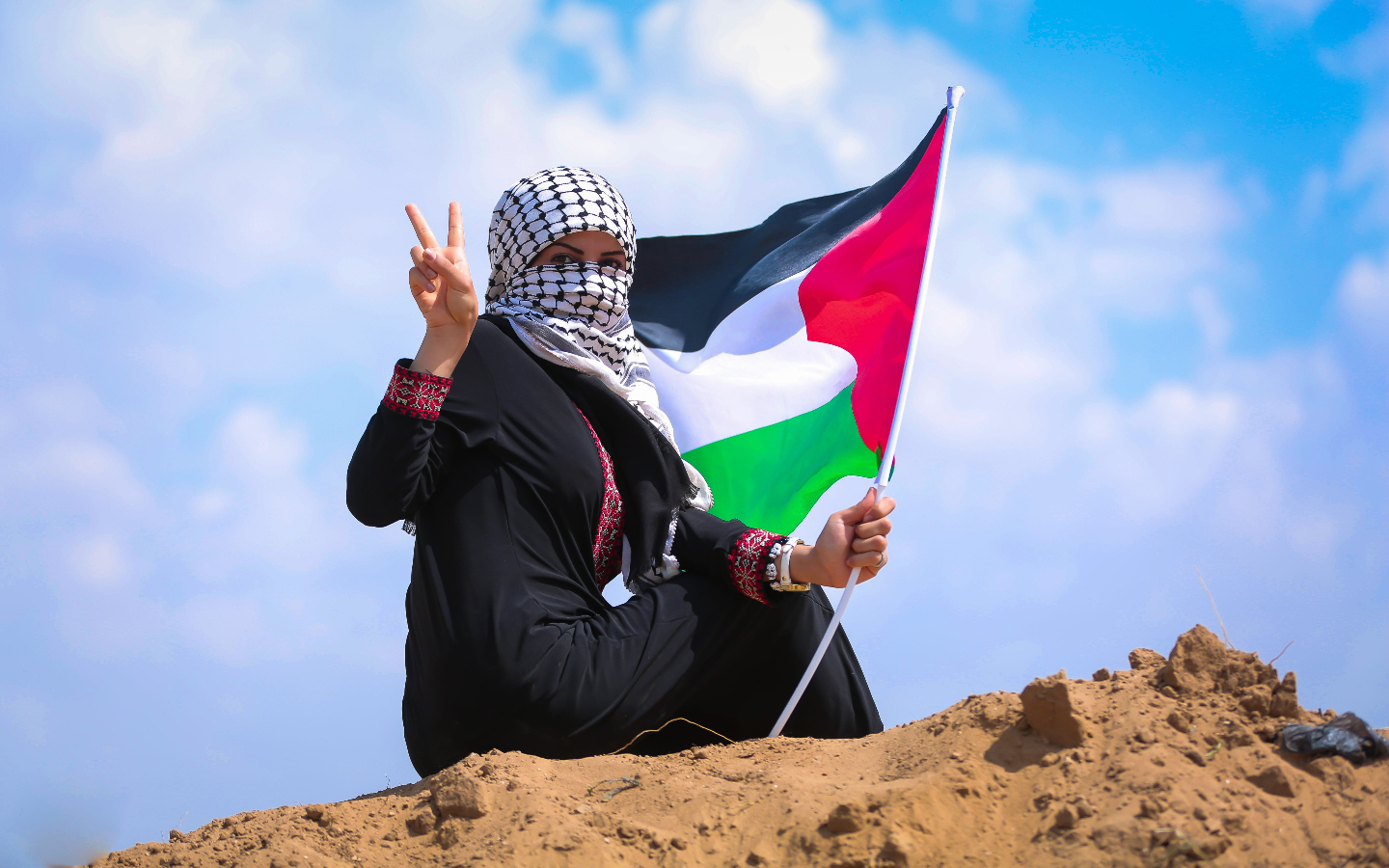 Detail Gambar Palestina Bendera Nomer 41