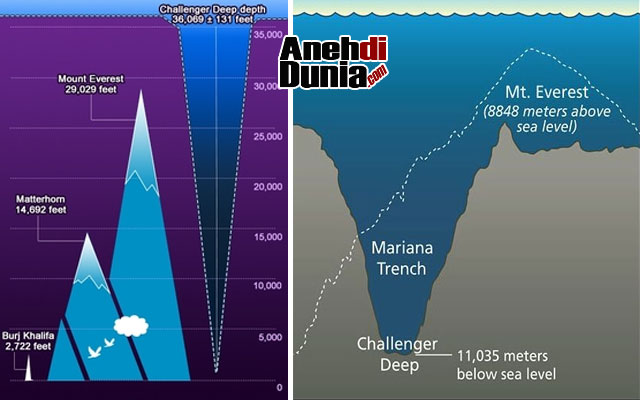 Detail Gambar Palung Laut Nomer 18