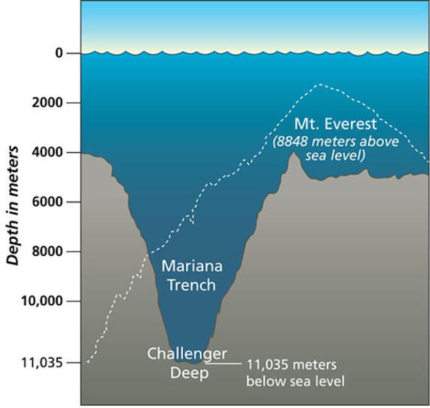 Detail Gambar Palung Laut Nomer 6