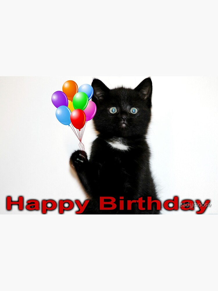 Detail Alles Gute Zum Geburtstag Tiere Koleksi Nomer 6