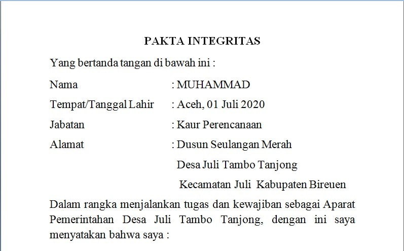 Detail Contoh Surat Pernyataan Pakta Integritas Nomer 26