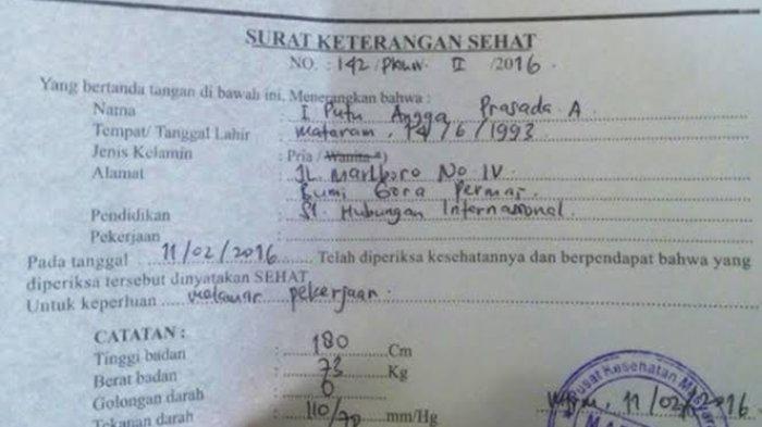 Detail Contoh Surat Pernyataan Sehat Nomer 44