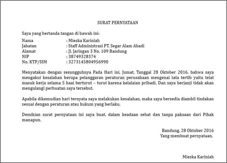 Detail Contoh Surat Pernyataan Tidak Mengulangi Kesalahan Dalam Bekerja Nomer 33