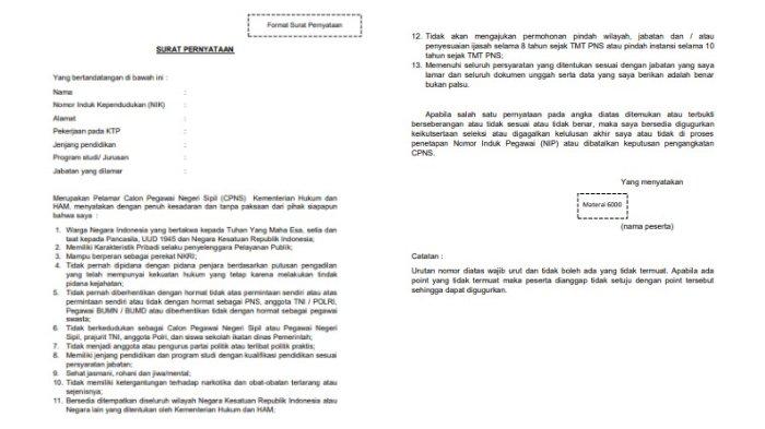 Detail Contoh Surat Pernyataan Untuk Melamar Cpns Nomer 6