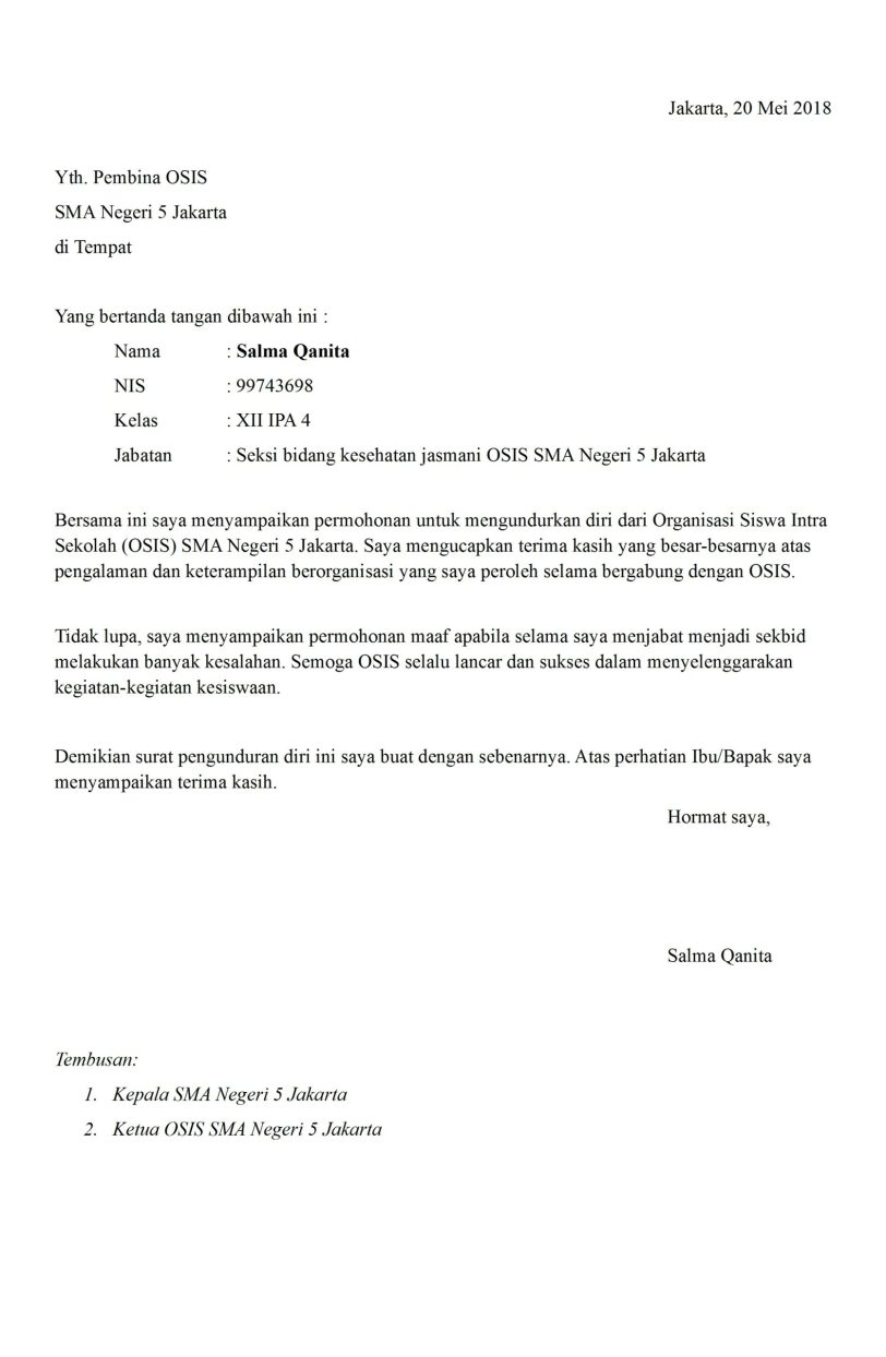 Detail Contoh Surat Resign Pns Nomer 6