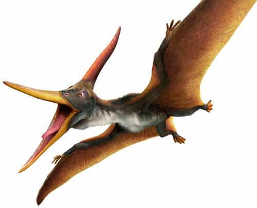 Detail Fliegender Dino Nomer 7