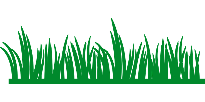 Gras Comic - KibrisPDR