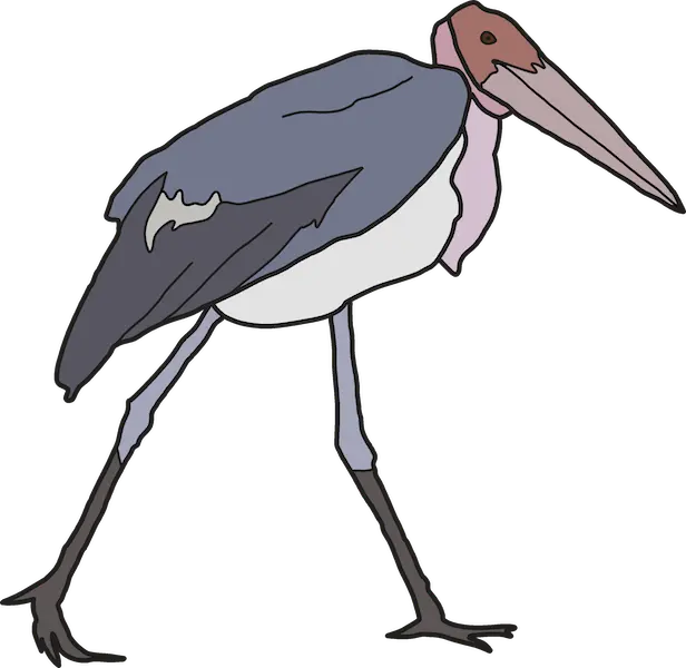 Marabu Fliegen - KibrisPDR