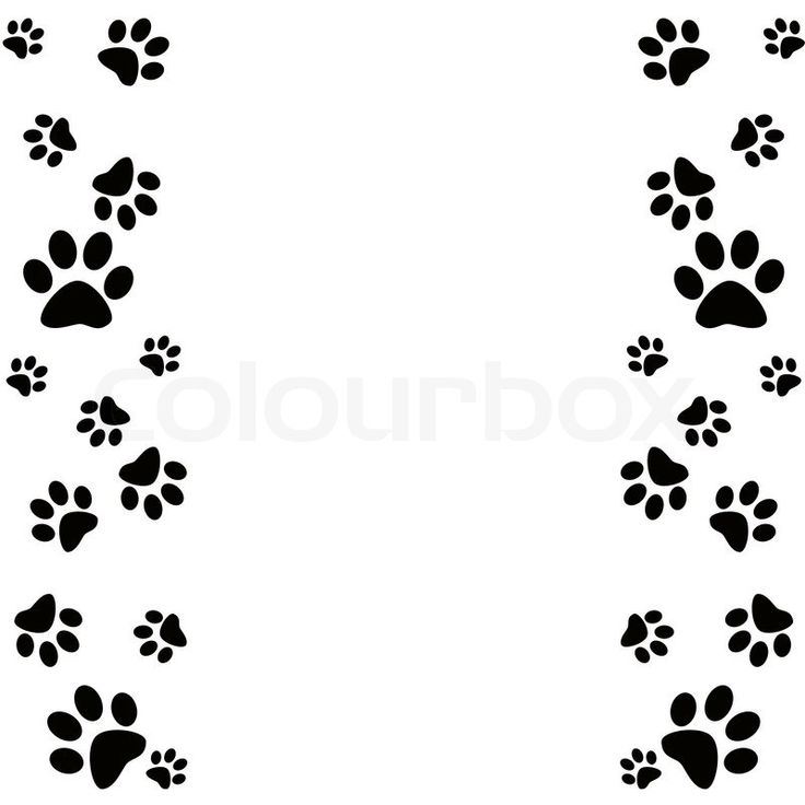 Detail Paw Patrol Border Design Nomer 21