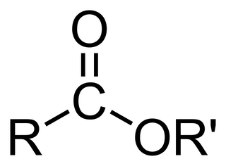 Detail Triglyceride Strukturformel Nomer 11