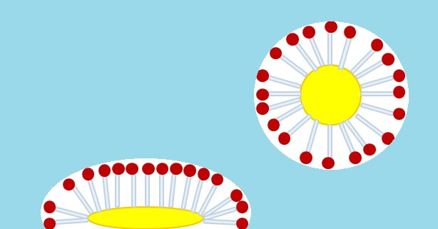 Detail Triglyceride Strukturformel Nomer 12