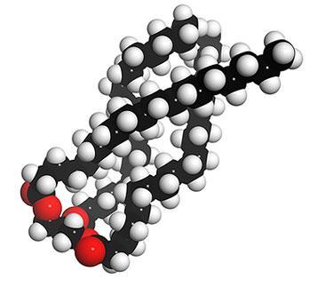 Detail Triglyceride Strukturformel Nomer 2
