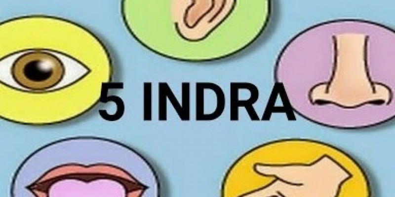 Detail Gambar Panca Indera Nomer 19