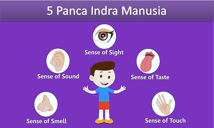 Detail Gambar Panca Indera Nomer 8