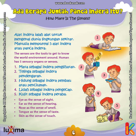 Detail Gambar Panca Indera Untuk Anak Tk Nomer 22