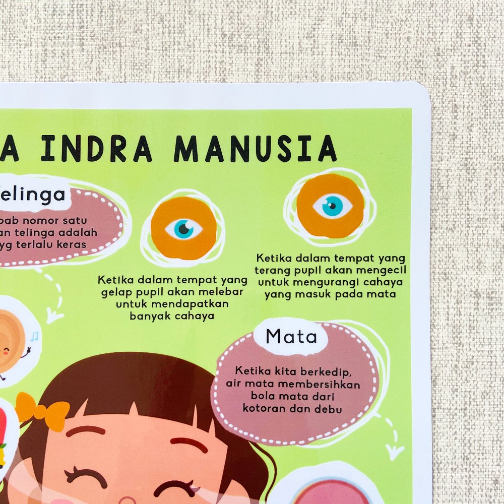 Detail Gambar Panca Indera Untuk Anak Tk Nomer 26