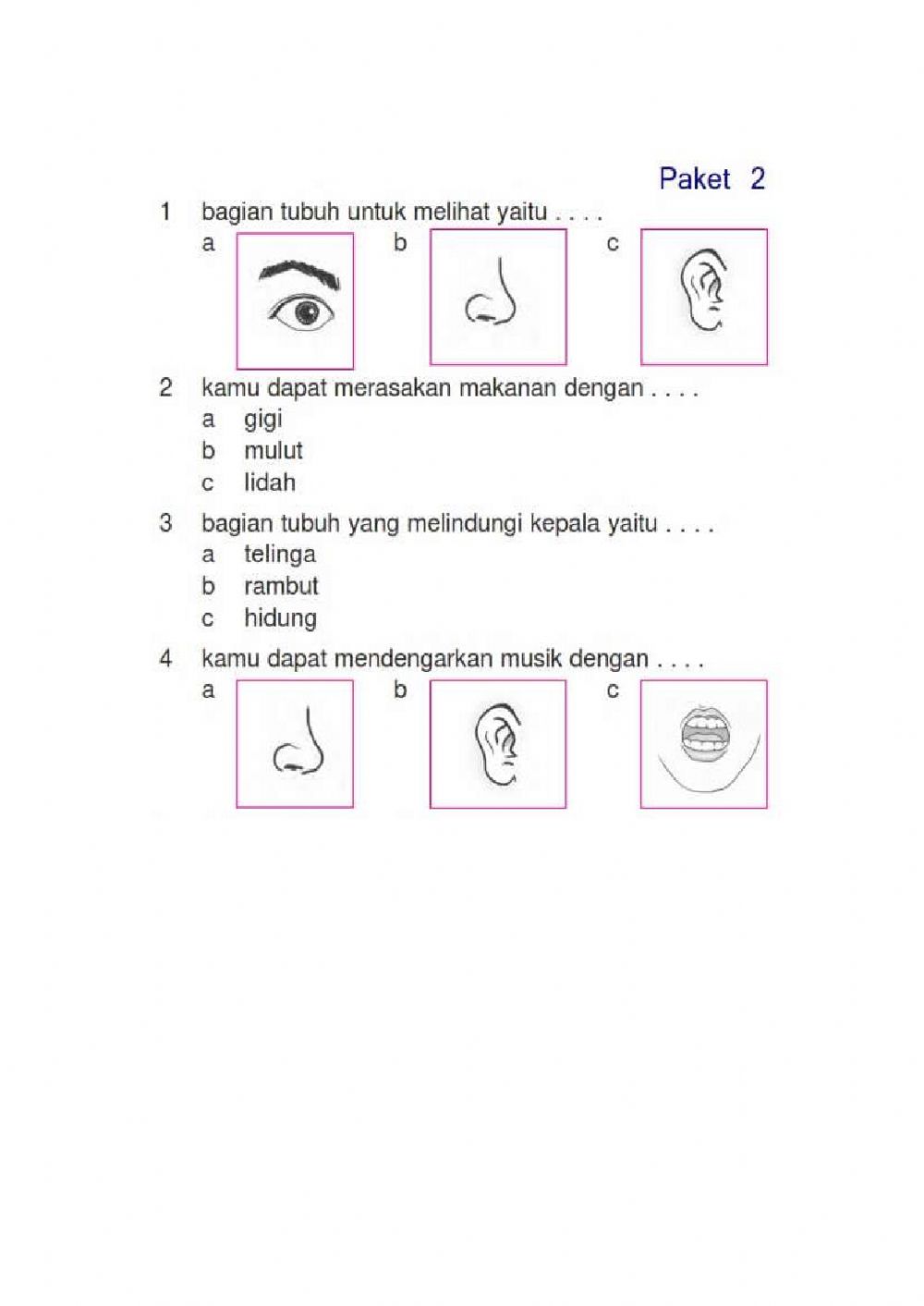 Detail Gambar Panca Indra Hidung Nomer 32