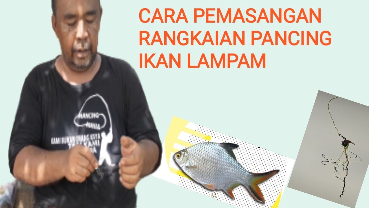 Detail Gambar Pancing Ikan Nomer 43