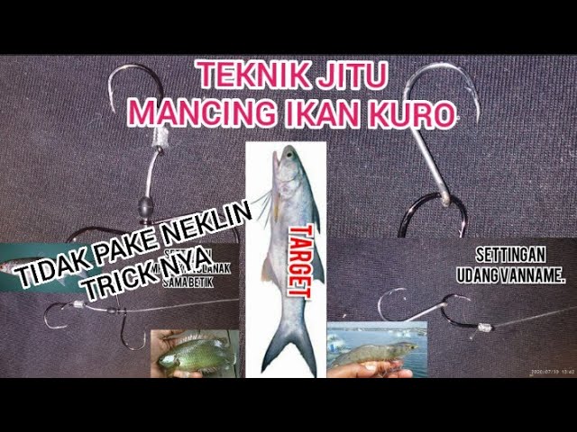 Detail Gambar Pancing Ikan Nomer 47