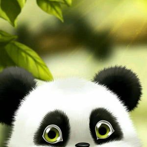 Detail Gambar Panda Comel Nomer 7