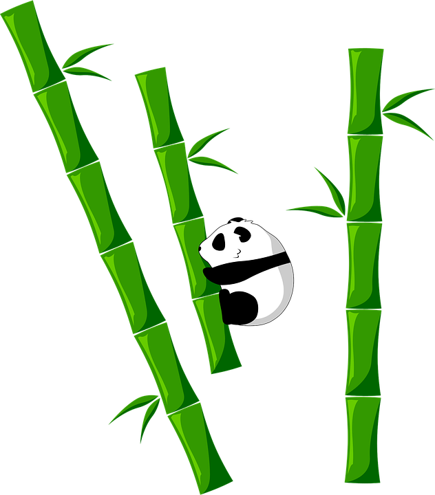 Gambar Panda Dan Bambu - KibrisPDR