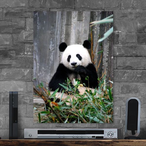 Detail Gambar Panda Dan Bambu Nomer 58