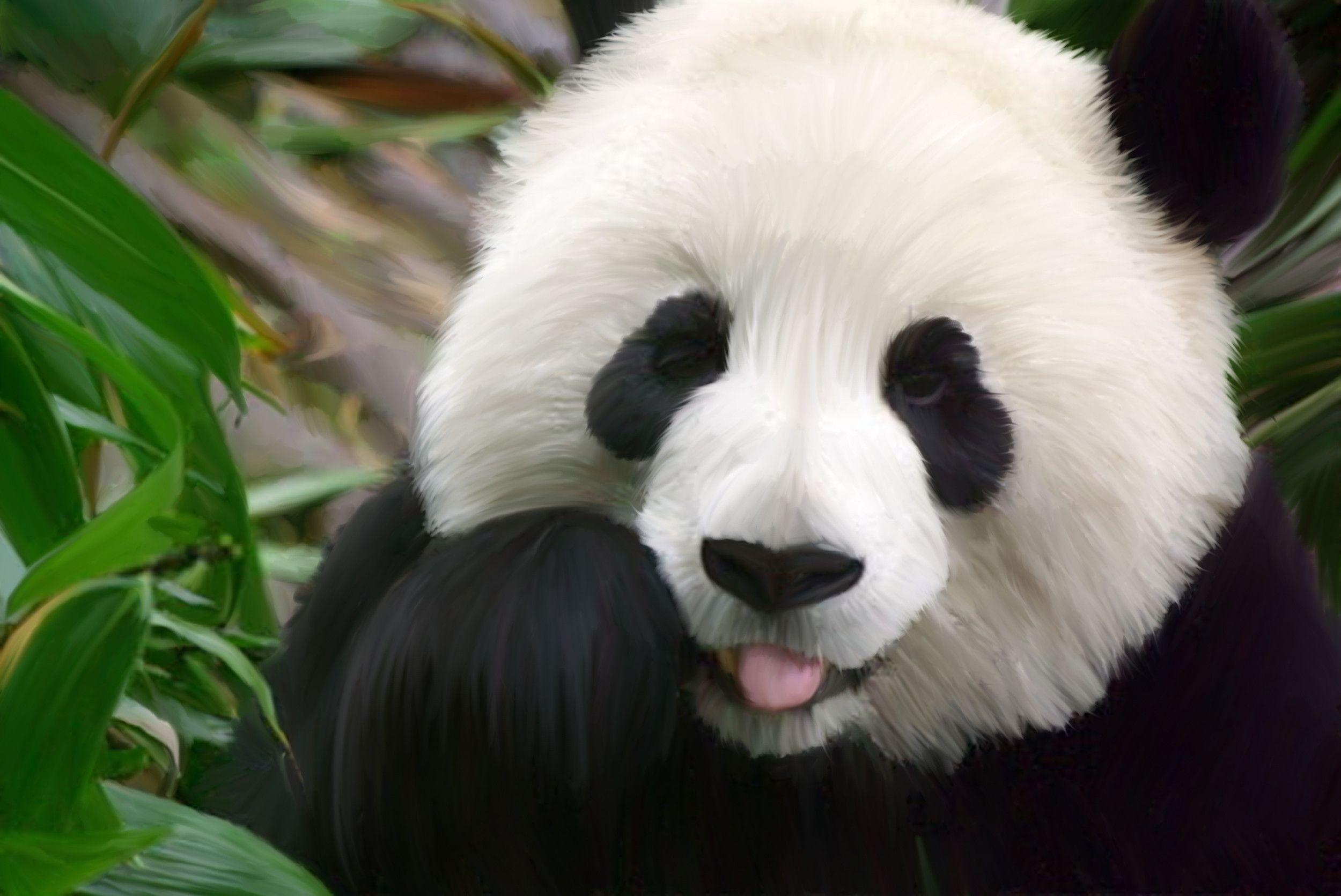 Detail Gambar Panda Imut Nomer 28