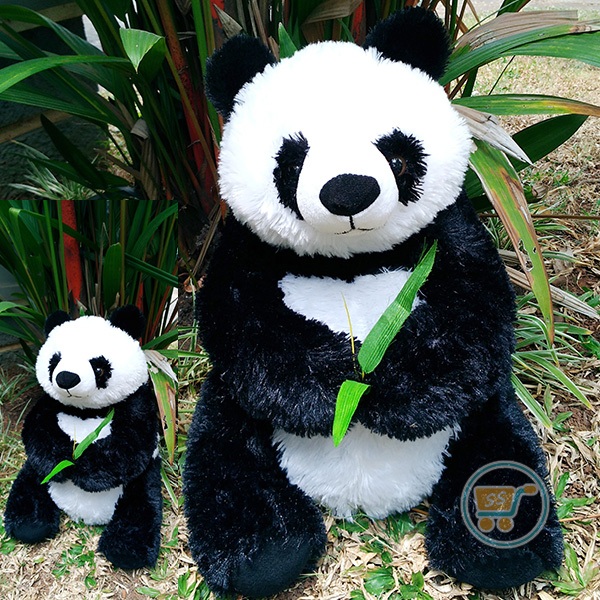 Detail Gambar Panda Imut Nomer 32