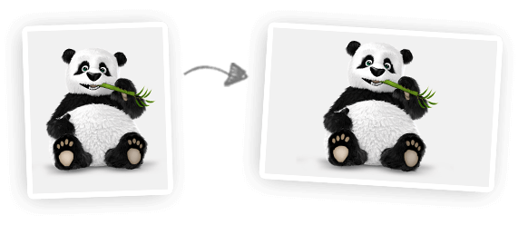 Detail Gambar Panda Jpg Nomer 14