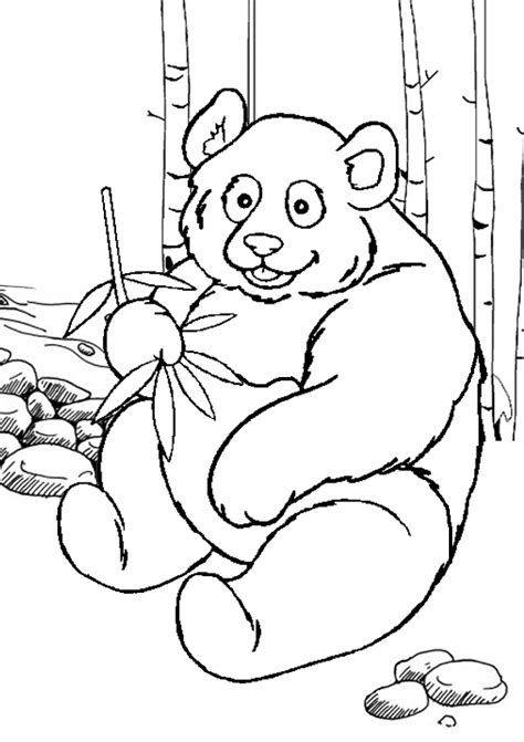 Detail Gambar Panda Untuk Mewarnai Koleksi Nomer 1
