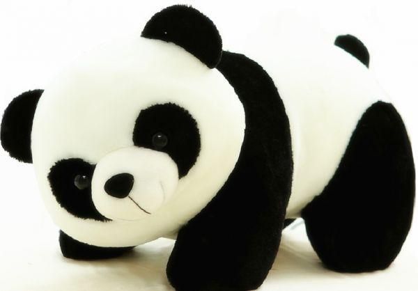 Detail Gambar Panda Yang Lucu Nomer 23