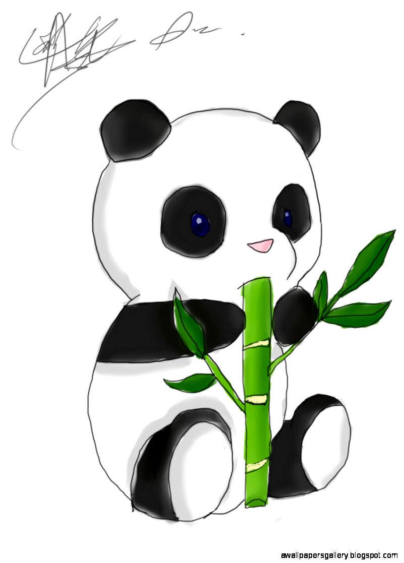 Detail Gambar Panda Yang Lucu Nomer 46