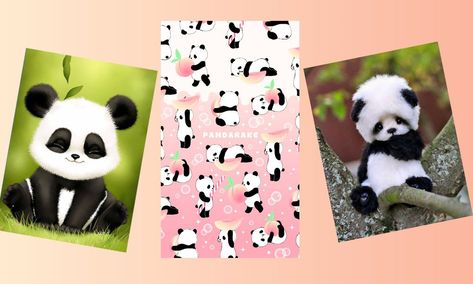 Detail Gambar Panda Yg Lucu Nomer 14