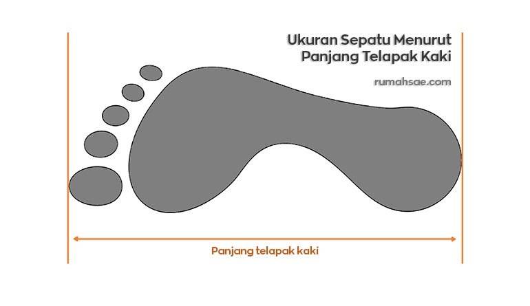 Detail Gambar Panduan Ukuran Sepatu Wanita Nomer 39