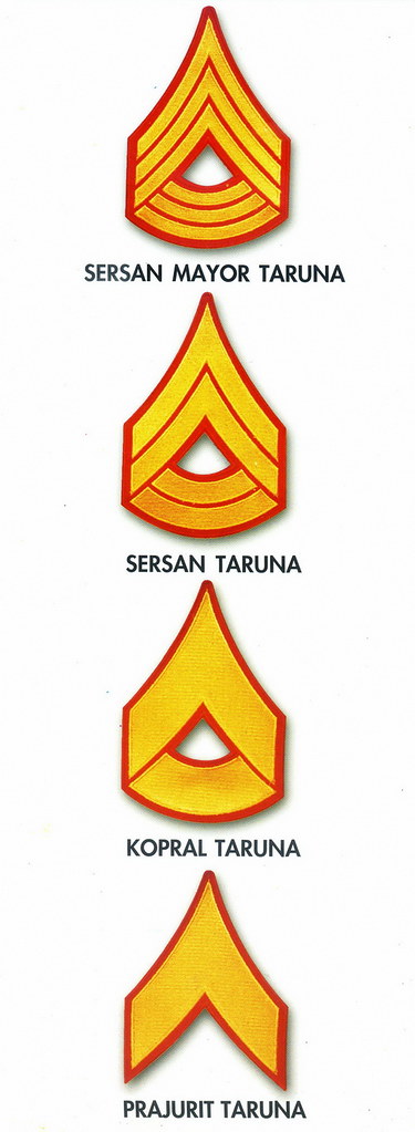 Detail Gambar Pangkat Taruna Nomer 3