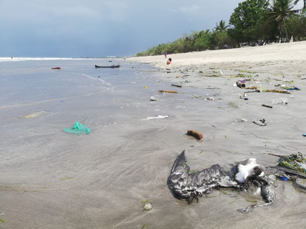 Detail Gambar Pantai Kuta Bali Gambar Gunung Di Indonesia Nomer 43