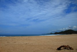 Detail Gambar Pantai Ngantep Nomer 42