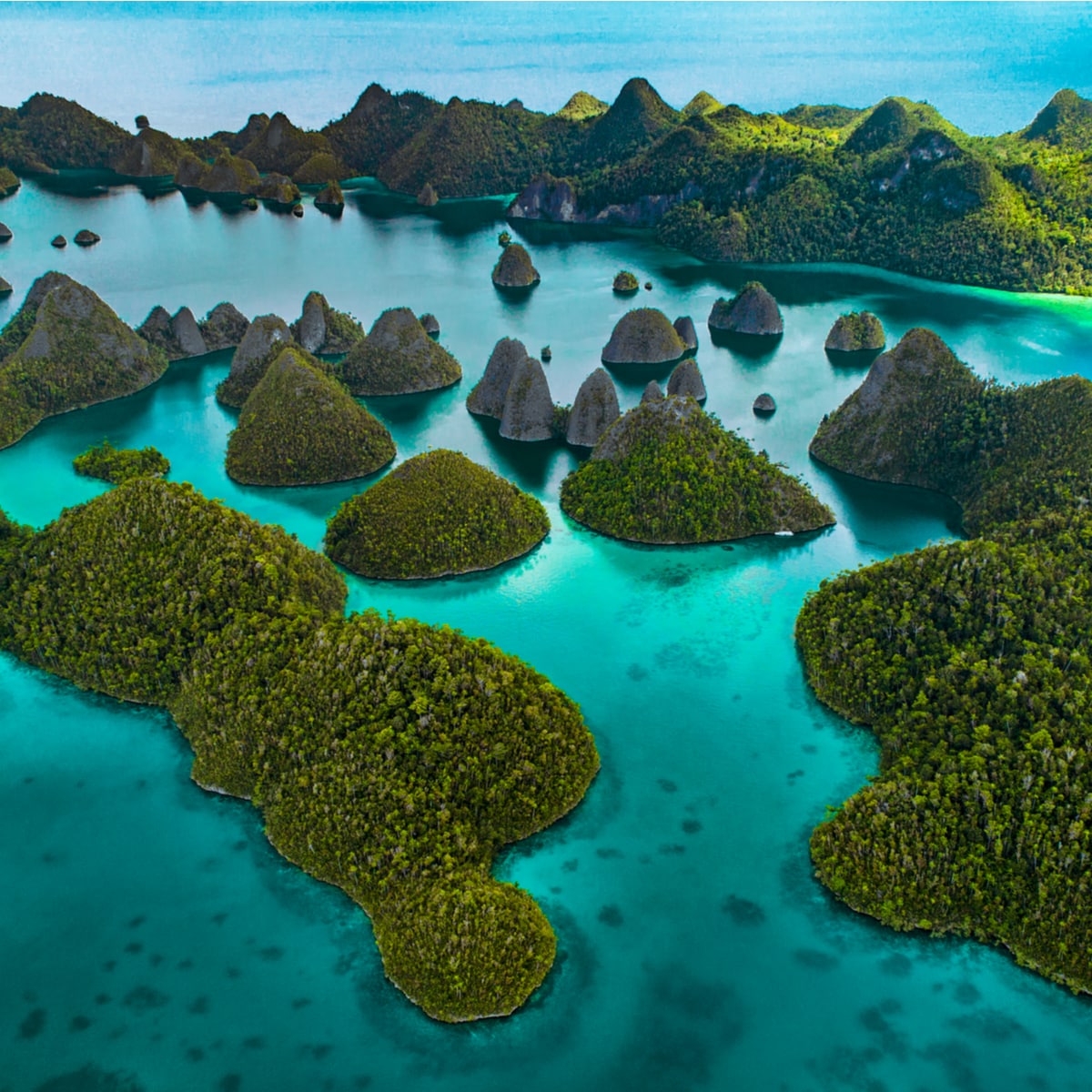 Detail Gambar Pantai Raja Ampat Nomer 4