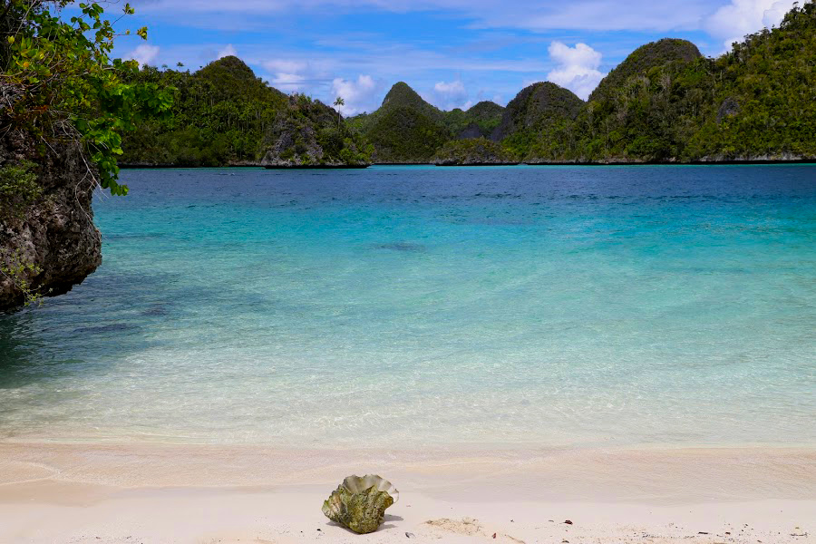 Detail Gambar Pantai Raja Ampat Nomer 55