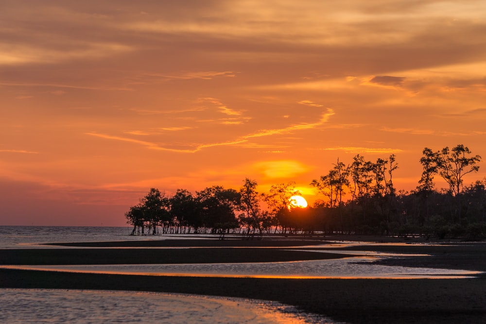 Detail Gambar Pantai Sunset Nomer 21