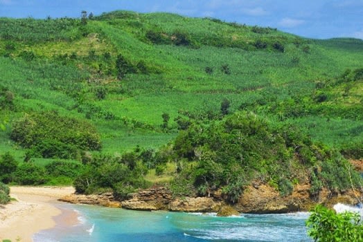 Detail Gambar Pantai Tambak Rejo Blitar Nomer 48