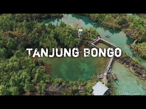 Detail Gambar Pantai Tanjung Bongo Nomer 34