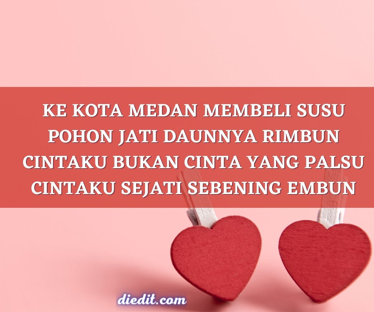 Detail Gambar Pantun Cinta Nomer 46