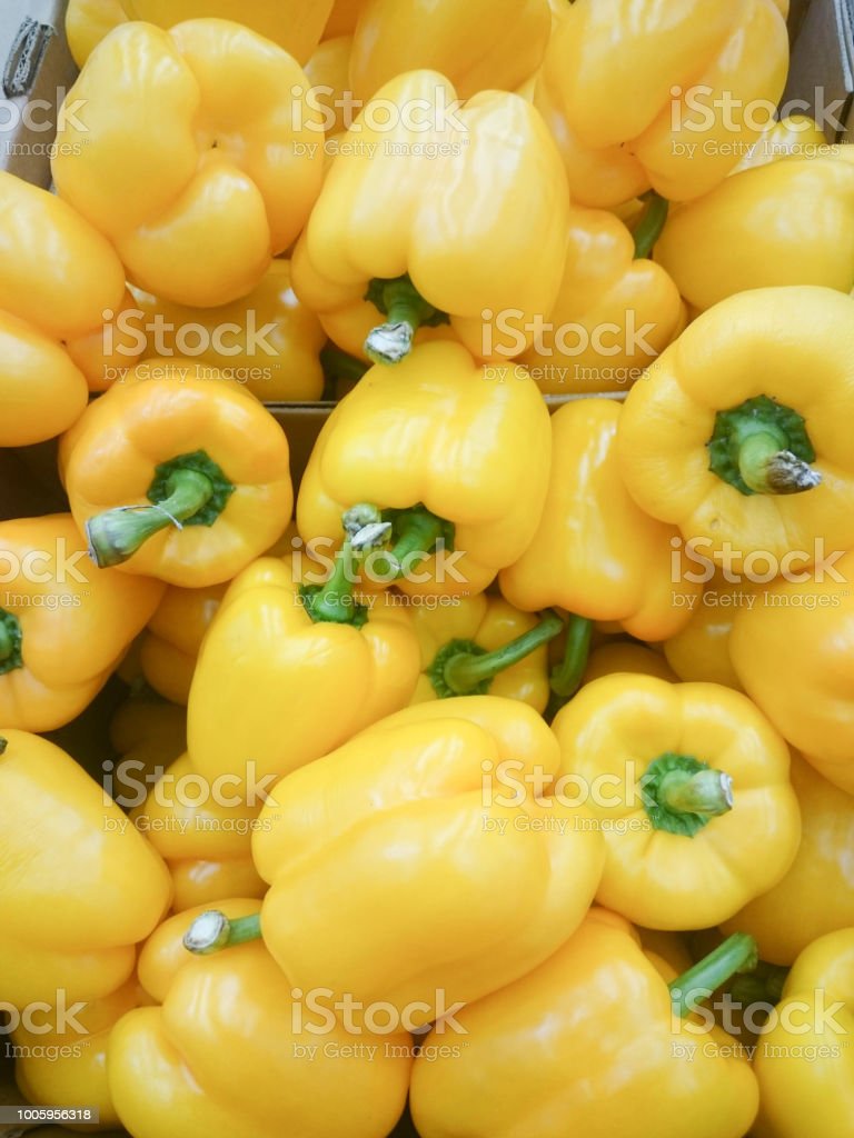 Detail Gambar Paprika Warna Kuning Nomer 33
