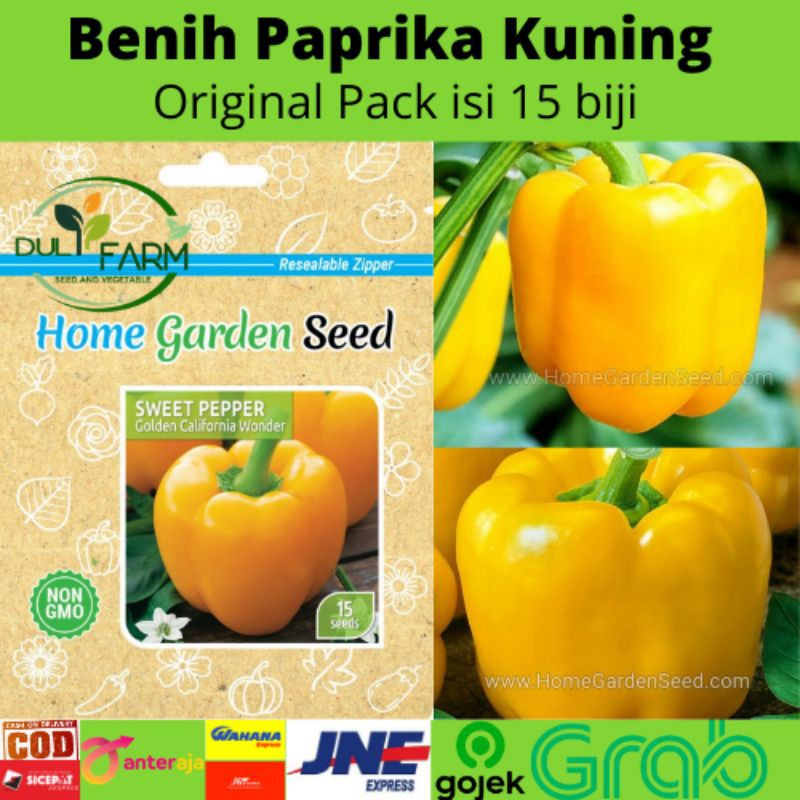 Detail Gambar Paprika Warna Kuning Nomer 46