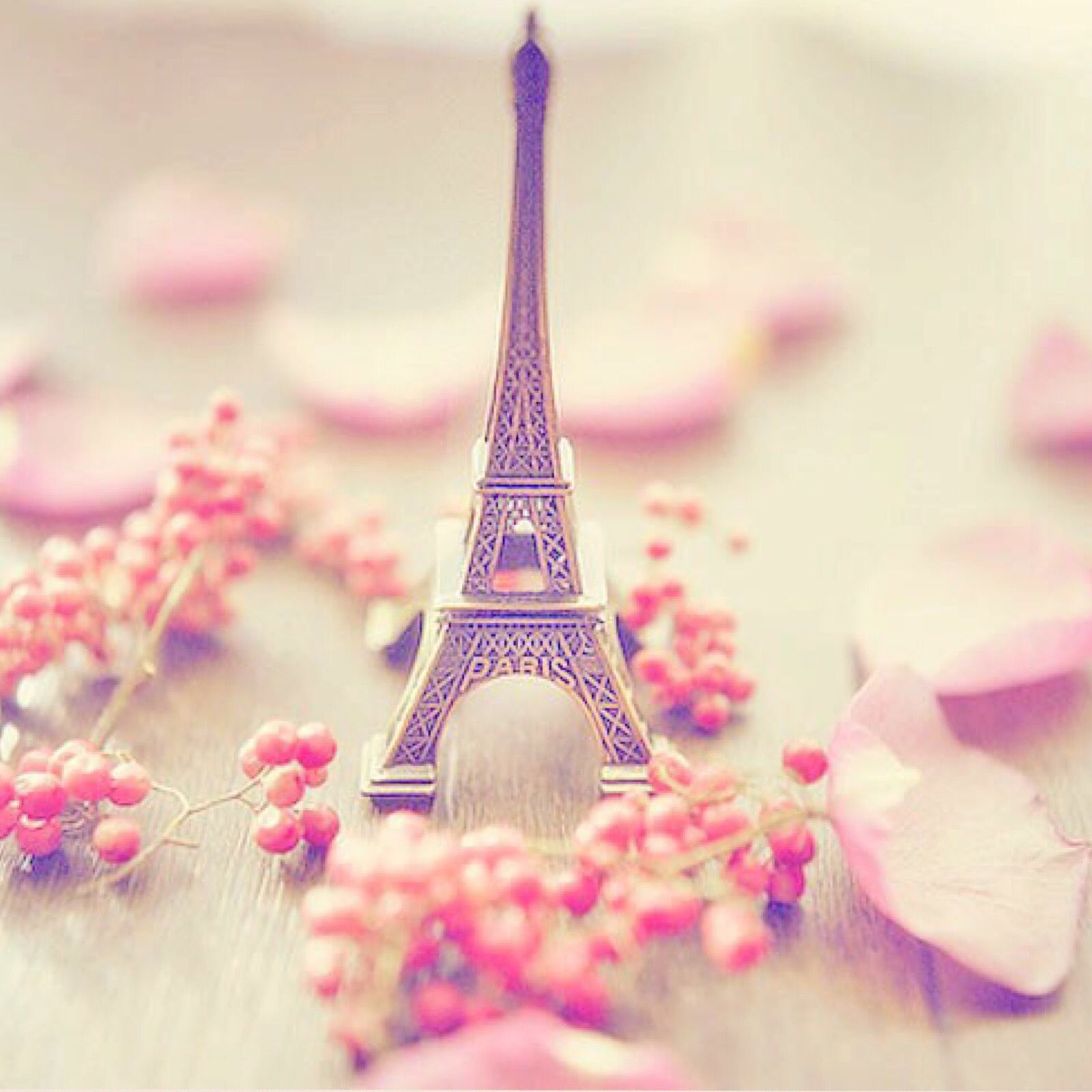 Gambar Paris Cute - KibrisPDR