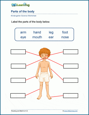 Detail Gambar Part Of Body Nomer 20