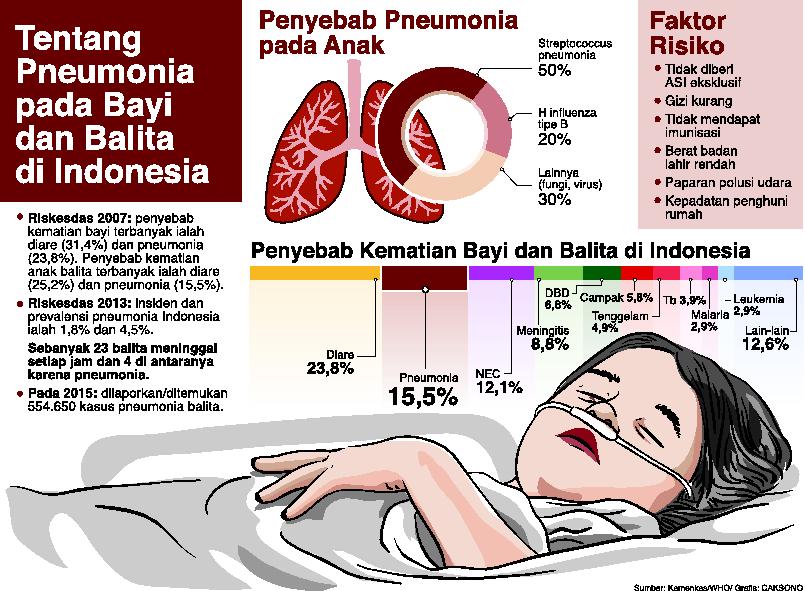 Detail Gambar Paru Paru Dengan Bronchopneumini Pada Anak Nomer 3